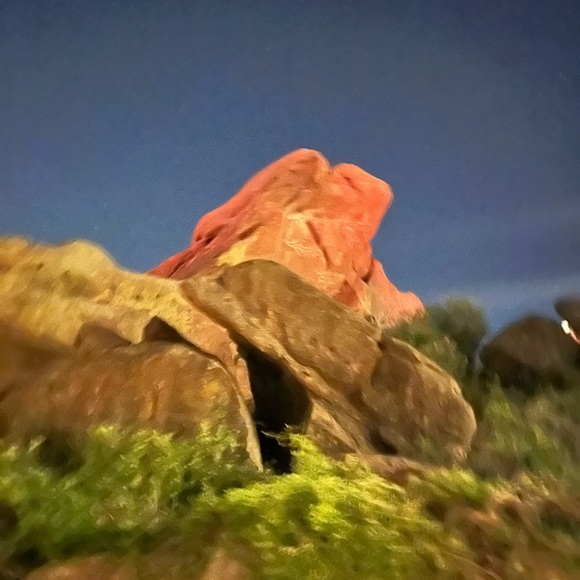 Meet your Posher, Hannah - Picture 1 of 1